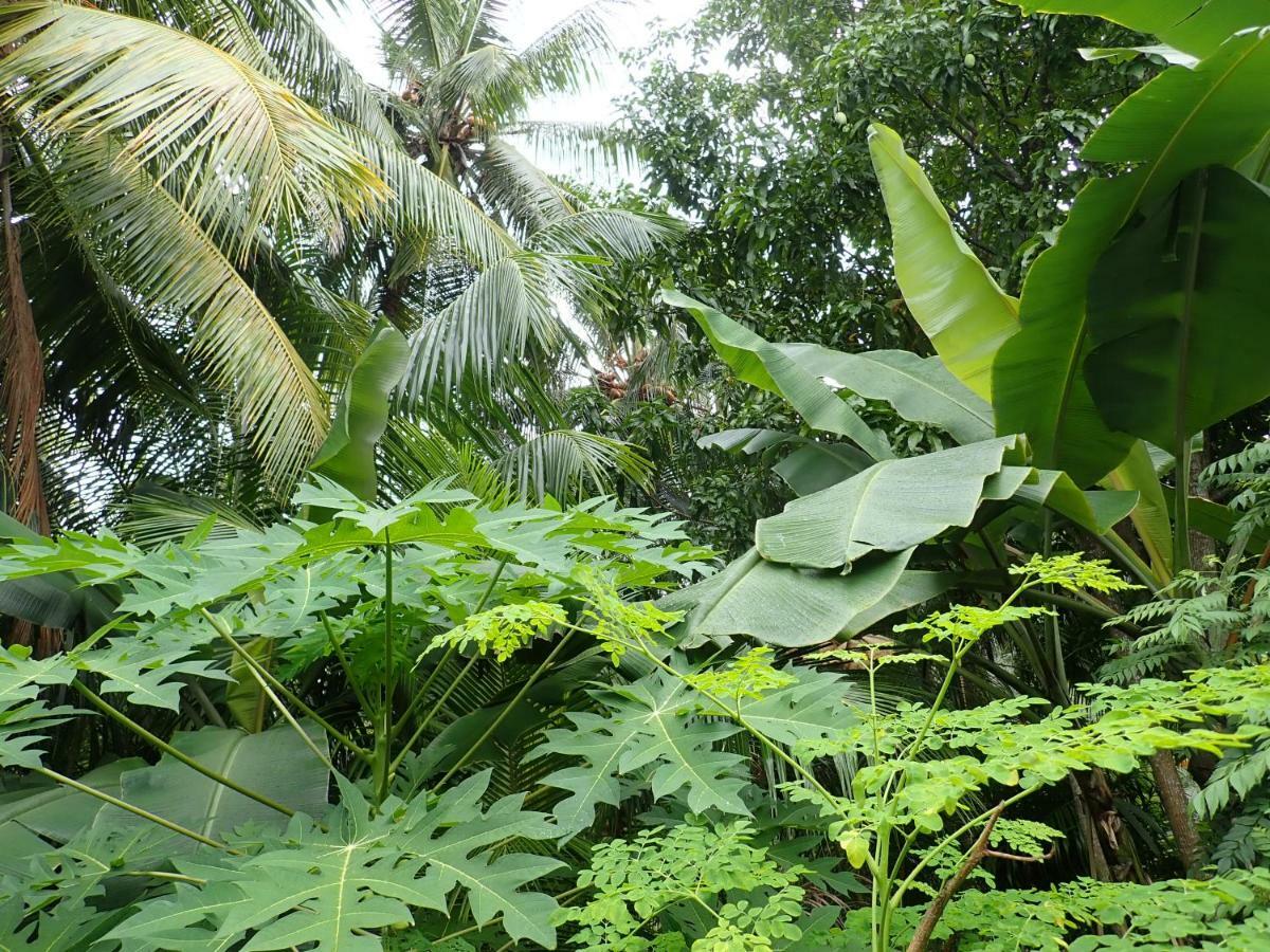 Fuvahmulah Inn Экстерьер фото