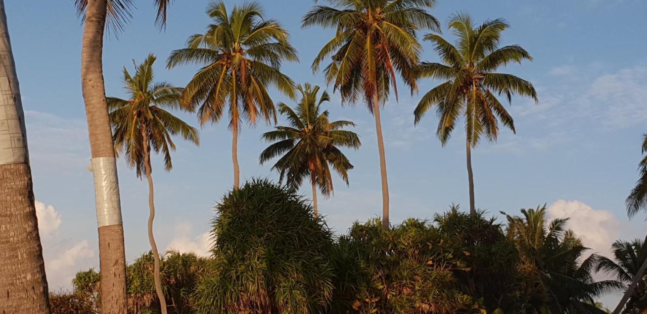 Fuvahmulah Inn Экстерьер фото
